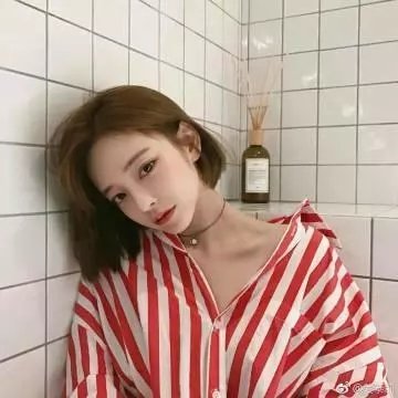 最后的嬉皮